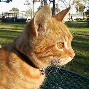 Meet your Posher, Blanca